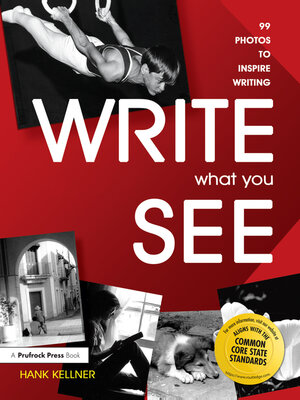 cover image of Write What You See